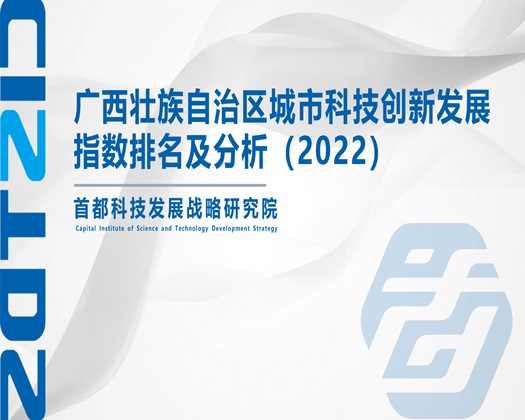 大鸡鸡乱草大胸【成果发布】广西壮族自治区城市科技创新发展指数排名及分析（2022）